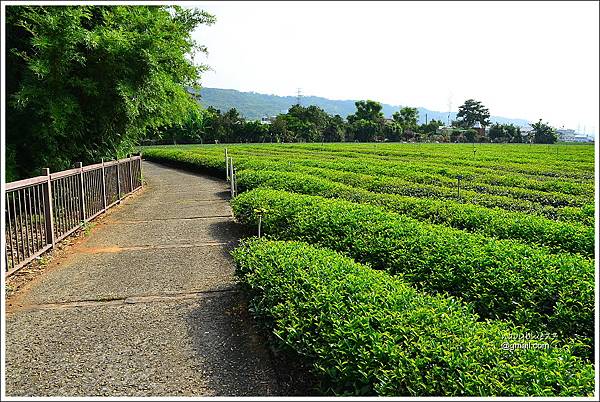 中央嶺十八彎古道 (15).JPG