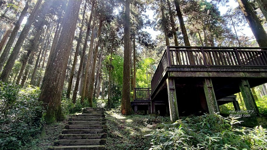 頂石棹-大凍山 (12).jpg