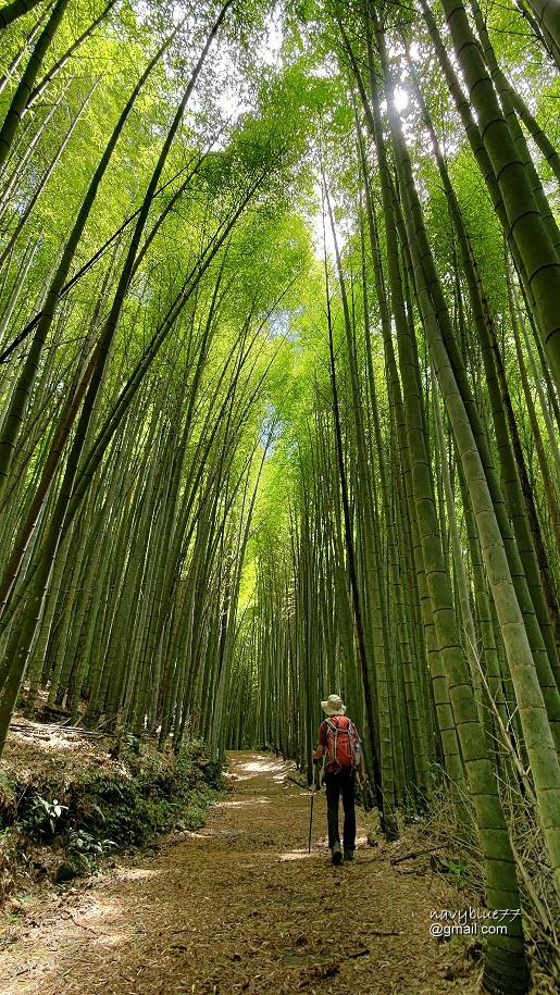 頂石棹-大凍山 (16).jpg