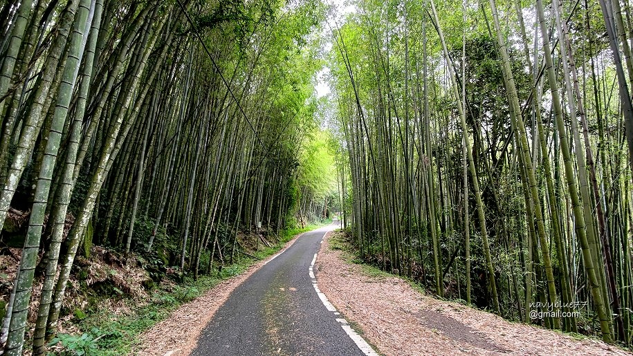 頂石棹-大凍山 (47).jpg