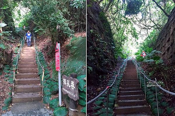 登廟茶香赤水田中森林步道 (7).JPG