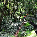 登廟茶香赤水田中森林步道 (28).JPG