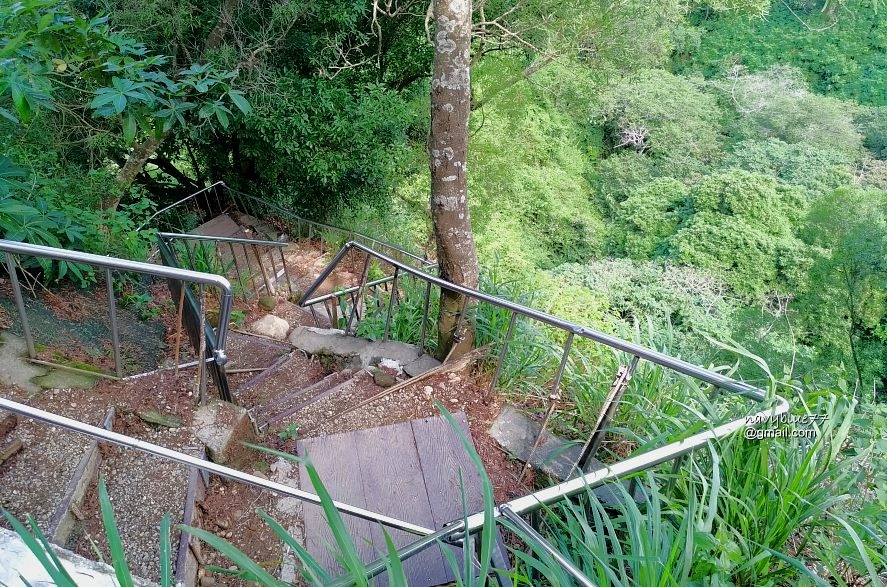 登廟茶香赤水田中森林步道 (33).jpg