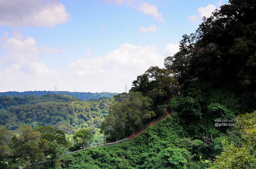 登廟茶香赤水田中森林步道 (35).JPG