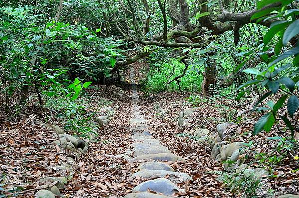 挑水-碧山古道 (17).JPG