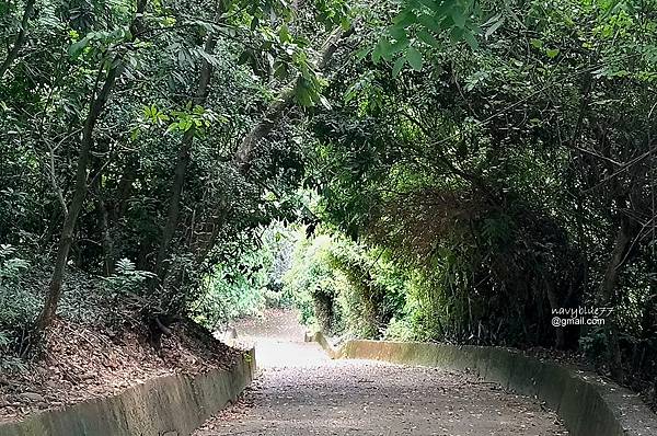 挑水-碧山古道 (22).jpg