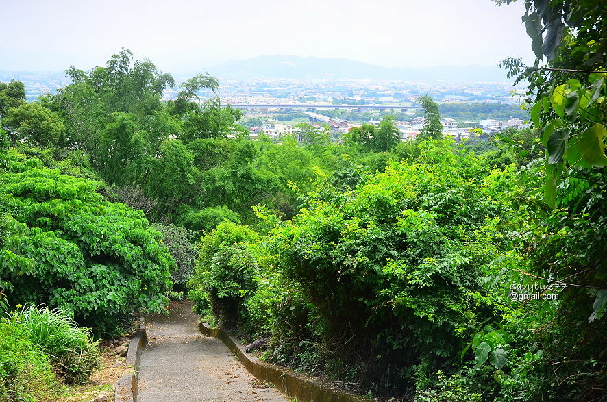 挑水-碧山古道 (21).JPG