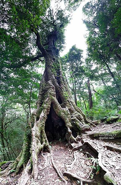 高島縱走 (18).jpg