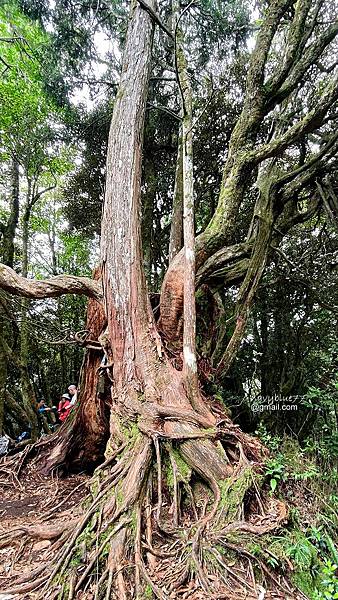 高島縱走 (62).jpg