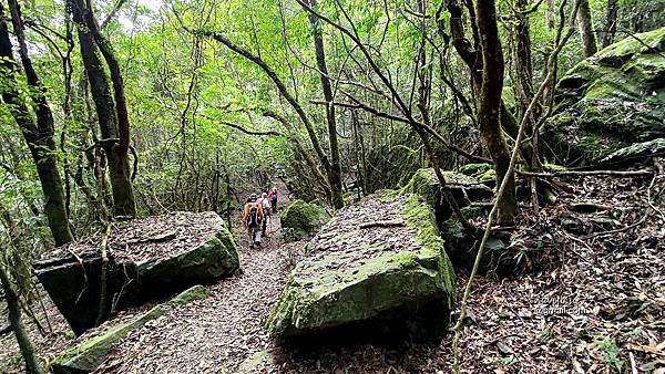 高島縱走 (69).jpg