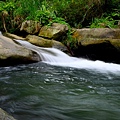 竹篙水溪步道 (17).JPG