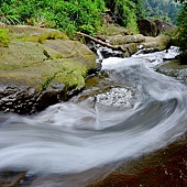 竹篙水溪步道 (14).JPG