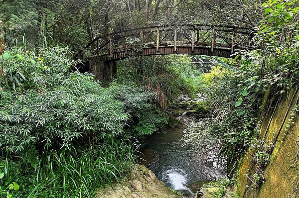 竹篙水溪步道 (20).jpg