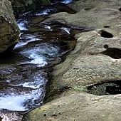 竹篙水溪步道 (22).jpg