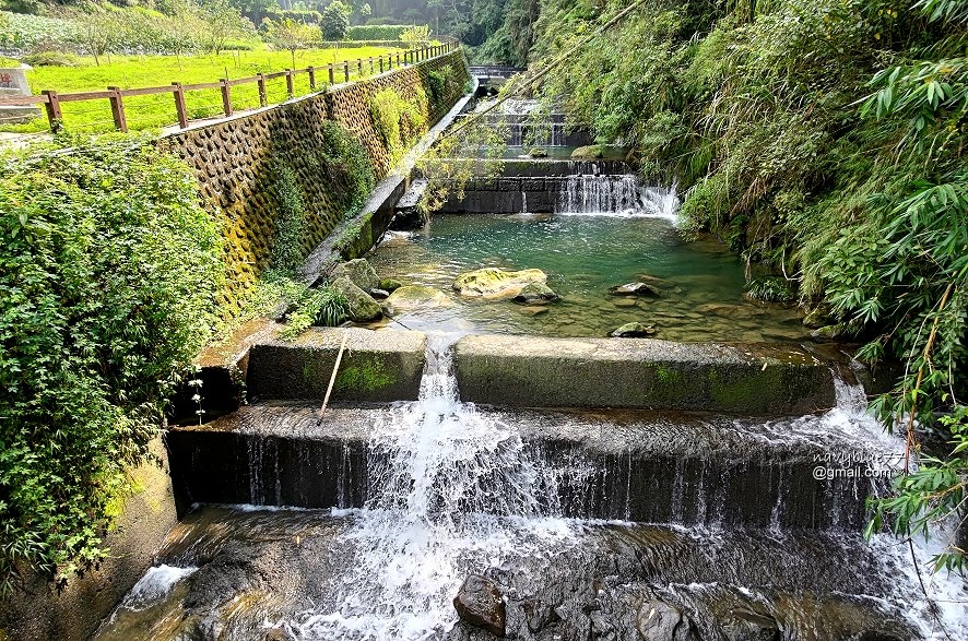 竹篙水溪步道 (25).jpg