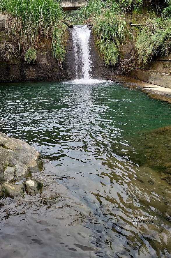 竹篙水溪步道 (33).jpg