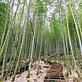 嘉南雲峰石壁山 (3).jpg