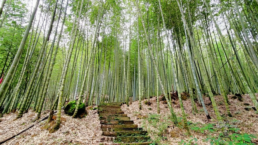 嘉南雲峰石壁山 (2).jpg