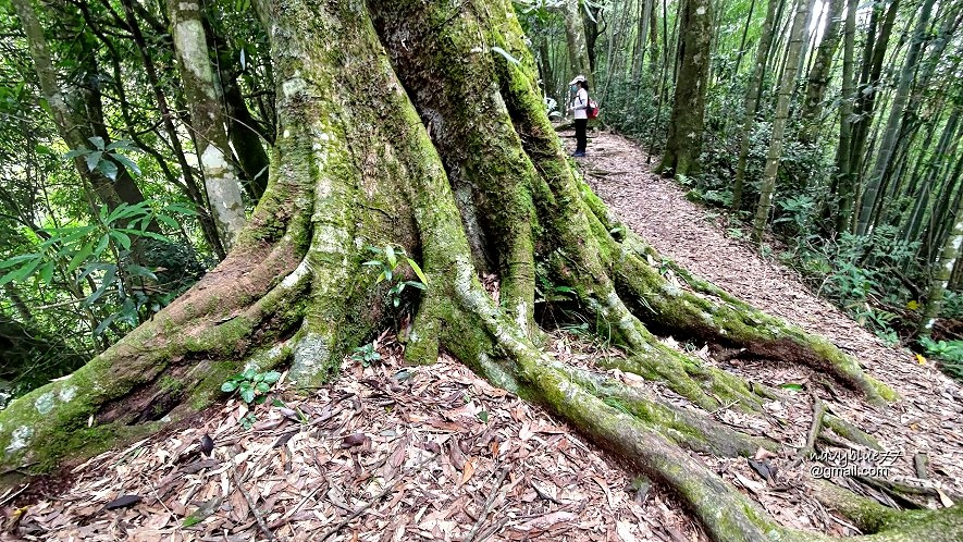 嘉南雲峰石壁山 (11).jpg