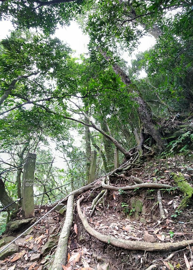 嘉南雲峰石壁山 (17).jpg