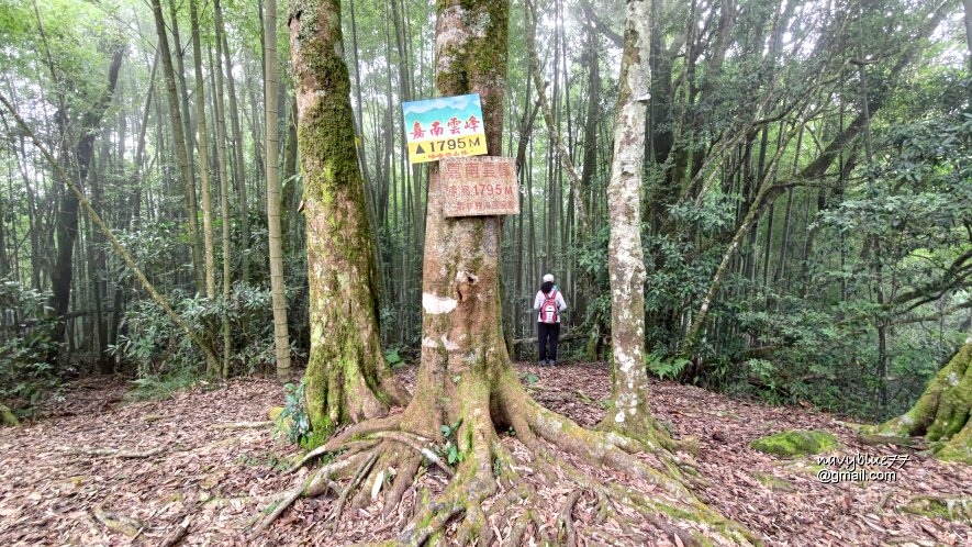 嘉南雲峰石壁山 (22).jpg