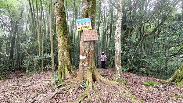 嘉南雲峰石壁山 (22).jpg