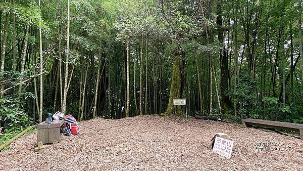 嘉南雲峰石壁山 (36).jpg