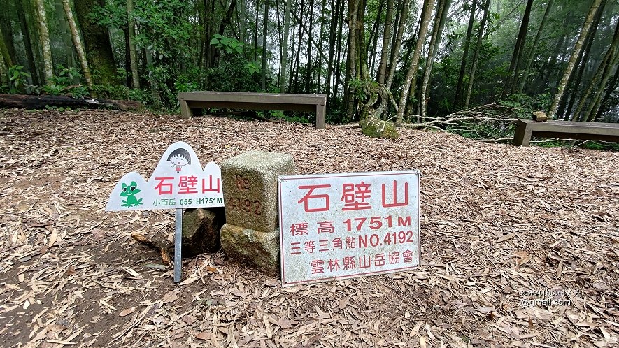 嘉南雲峰石壁山 (34).jpg