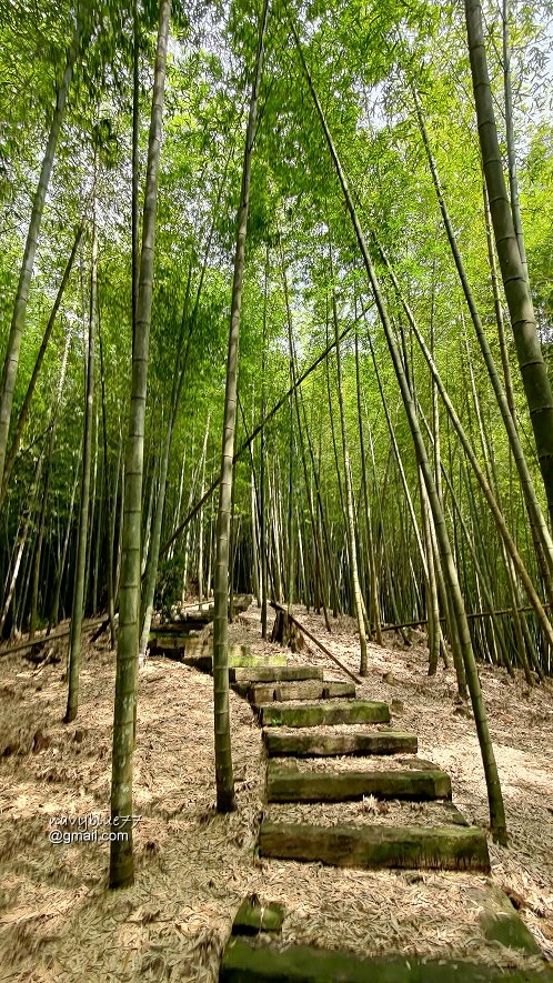 嘉南雲峰石壁山 (42).jpg