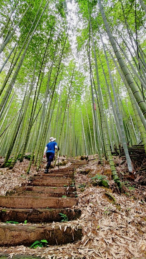 嘉南雲峰石壁山 (4).jpg