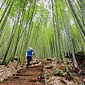 嘉南雲峰石壁山 (4).jpg