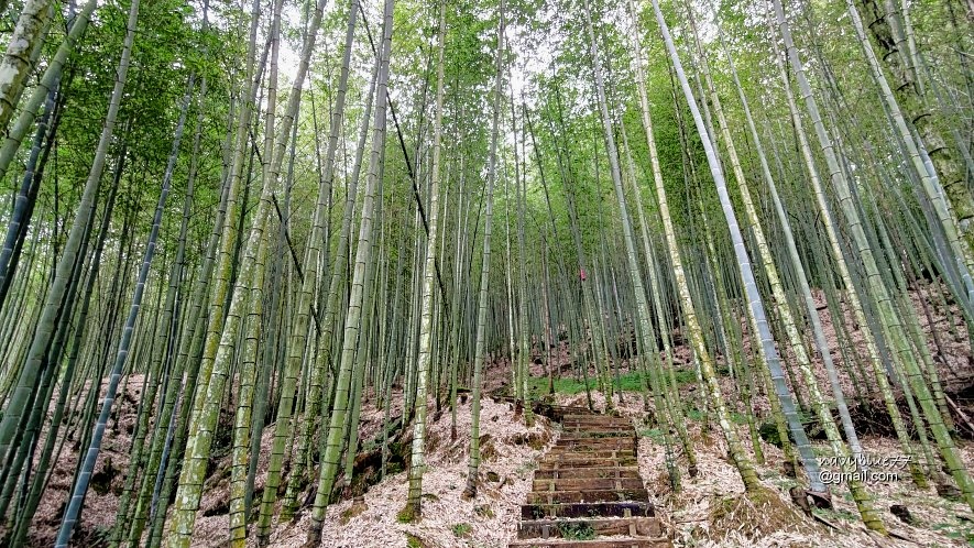 嘉南雲峰石壁山 (46).jpg