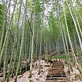 嘉南雲峰石壁山 (46).jpg