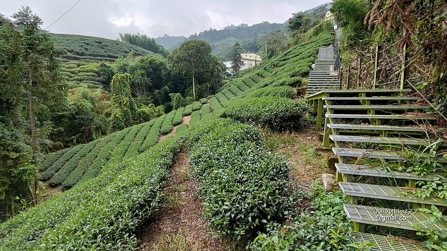 石壁遊龍湖-兩OO步道 (13).jpg