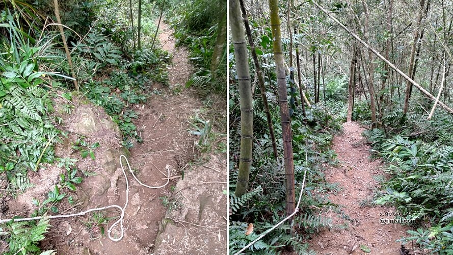 阿拔泉-大巃頂-獨立山O形 (14).jpg