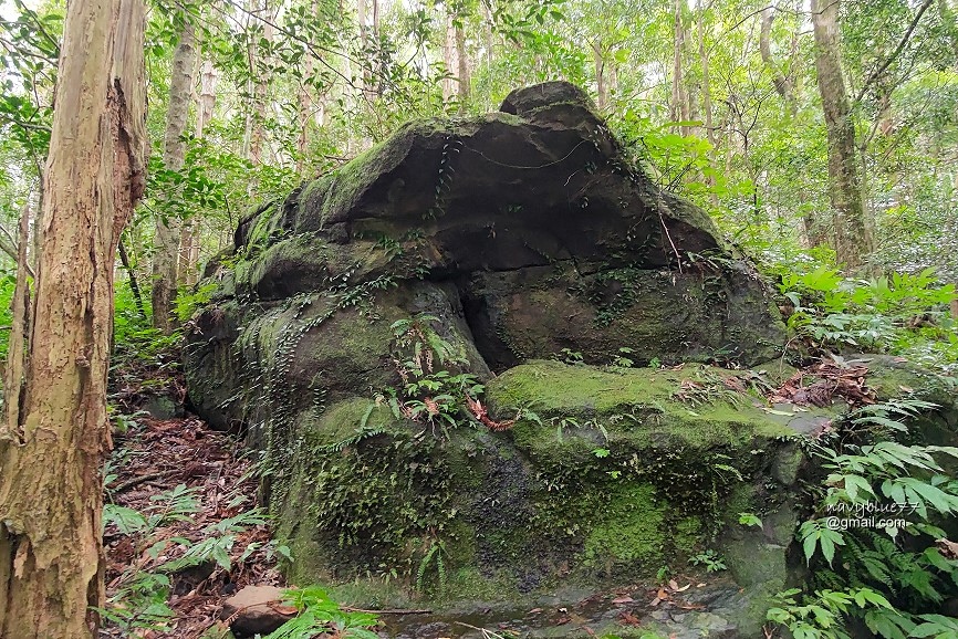 北得拉曼內鳥嘴山 (3).jpg