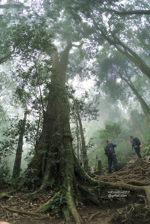 北得拉曼內鳥嘴山 (10).JPG