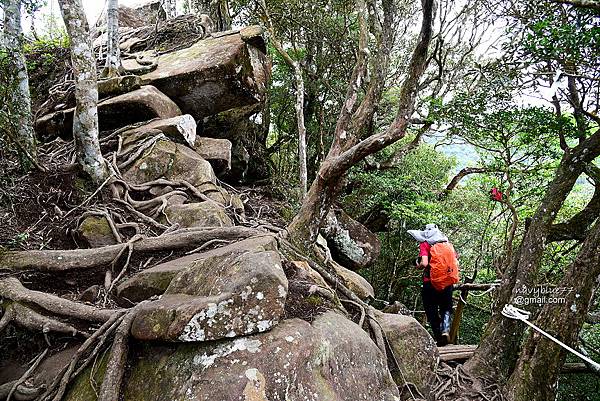 北得拉曼內鳥嘴山 (22).JPG