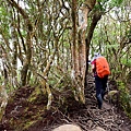 北得拉曼內鳥嘴山 (23).JPG