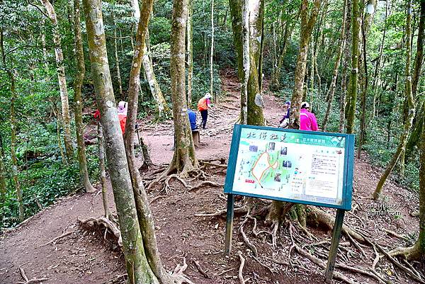 北得拉曼內鳥嘴山 (25).JPG