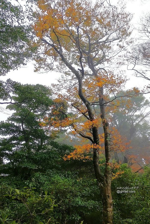 北得拉曼內鳥嘴山 (35).jpg