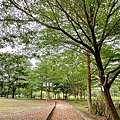 坎頂自然公園 (24).jpg