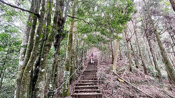 沙蓮山橫嶺山 (24).jpg