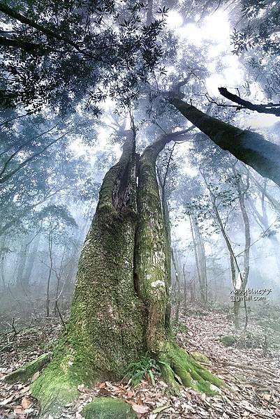 沙蓮山橫嶺山 (58).jpg