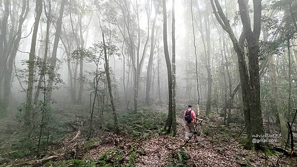 沙蓮山橫嶺山 (56).jpg