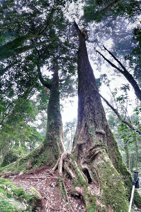 沙蓮山橫嶺山 (73).jpg