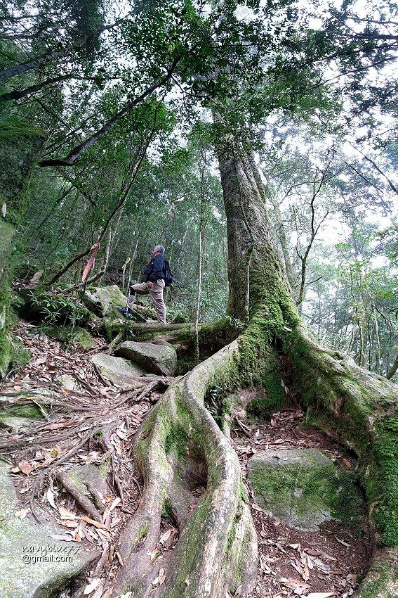 沙蓮山橫嶺山 (75).jpg