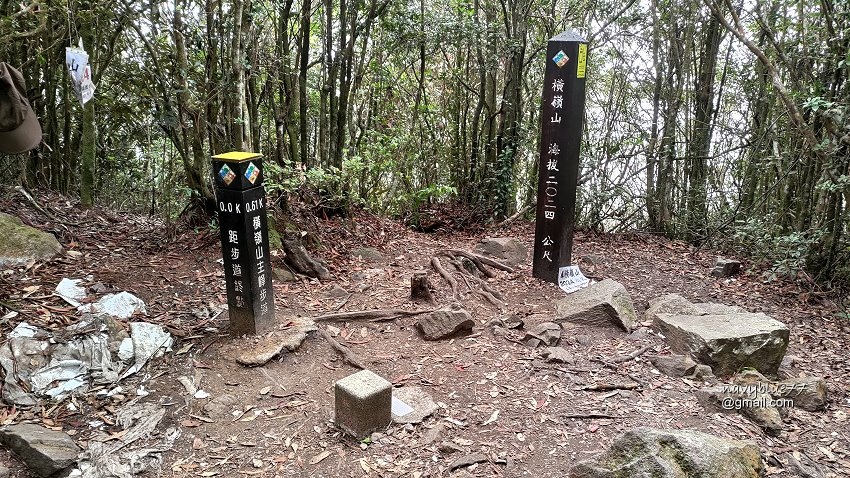 沙蓮山橫嶺山 (80).jpg