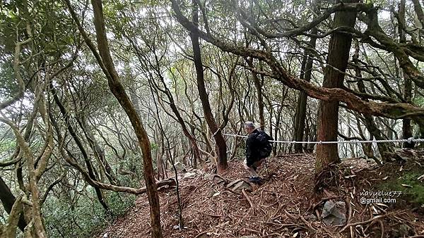 沙蓮山橫嶺山 (85).jpg