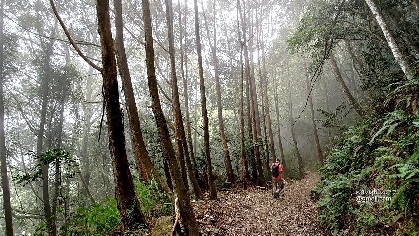 沙蓮山橫嶺山 (94).jpg